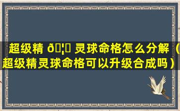 超级精 🦄 灵球命格怎么分解（超级精灵球命格可以升级合成吗）